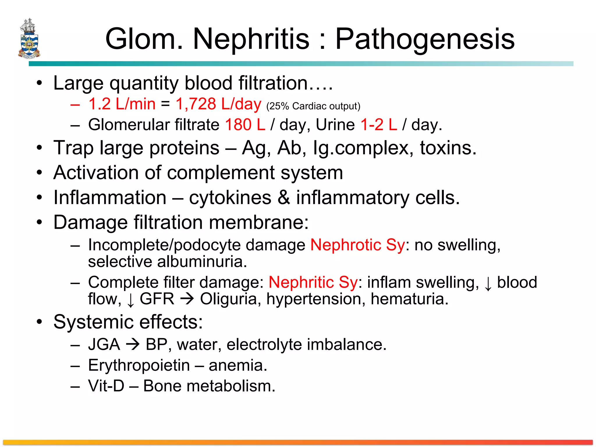 Glom. Nephritis : Pathogenesis Large quantity blood filtration…. 1.2 L/min  =  1,728 L/day  (25% Cardiac output) Glomerular filtrate  180 L  / day, Urine  1-2 L  / day.  Trap large proteins – Ag, Ab, Ig.complex, toxins. Activation of complement system Inflammation – cytokines & inflammatory cells. Damage filtration membrane: Incomplete/podocyte damage  Nephrotic Sy : no swelling, selective albuminuria. Complete filter damage:  Nephritic Sy :  inflam  swelling,  ↓ blood flow, ↓ GFR    Oliguria, hypertension, hematuria. Systemic effects: JGA    BP, water, electrolyte imbalance. Erythropoietin – anemia. Vit-D – Bone metabolism. 