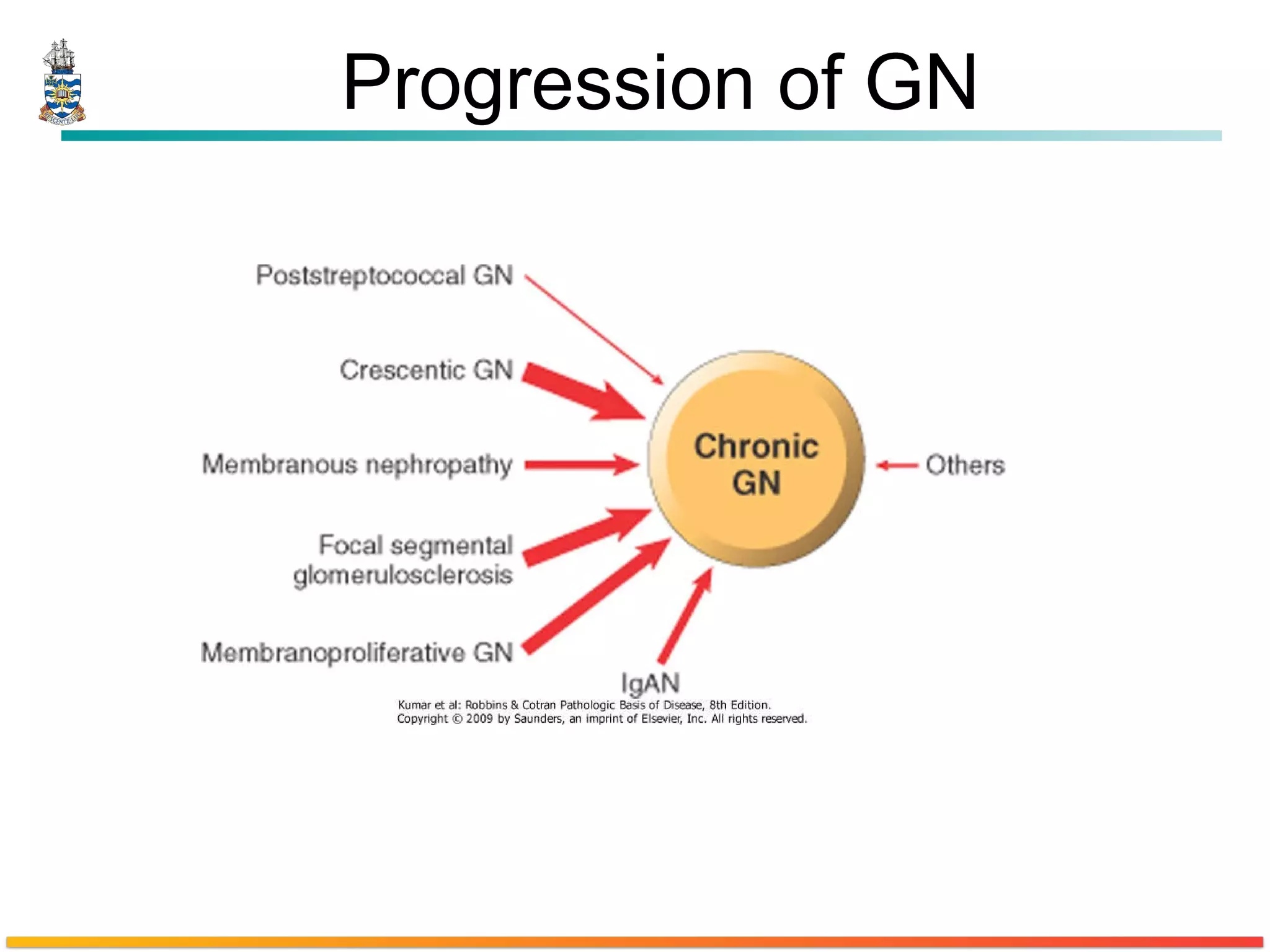 Progression of GN 