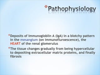 Deposits of Immunogloblin A (IgA) in a blotchy pattern in the  mesangium  (on immunofluroescence), the  HEART  of the renal glomerulus The tissue changes gradually from being hypercellular to depositing extracellular matrix proteins, and finally fibrosis 