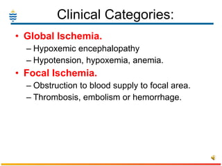 Clinical Categories: Global Ischemia. Hypoxemic encephalopathy Hypotension, hypoxemia, anemia. Focal Ischemia. Obstruction to blood supply to focal area. Thrombosis, embolism or hemorrhage. 