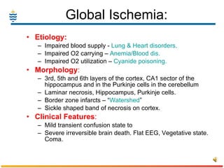 Global Ischemia: Etiology: Impaired blood supply -  Lung & Heart disorders. Impaired O2 carrying –  Anemia/Blood dis. Impaired O2 utilization –  Cyanide poisoning. Morphology : 3rd, 5th and 6th layers of the cortex, CA1 sector of the hippocampus and in the Purkinje cells in the cerebellum  Laminar necrosis, Hippocampus, Purkinje cells. Border zone infarcts – “ Watershed ” Sickle shaped band of necrosis on cortex. Clinical   Features : Mild transient confusion state to Severe irreversible brain death. Flat EEG, Vegetative state. Coma. 