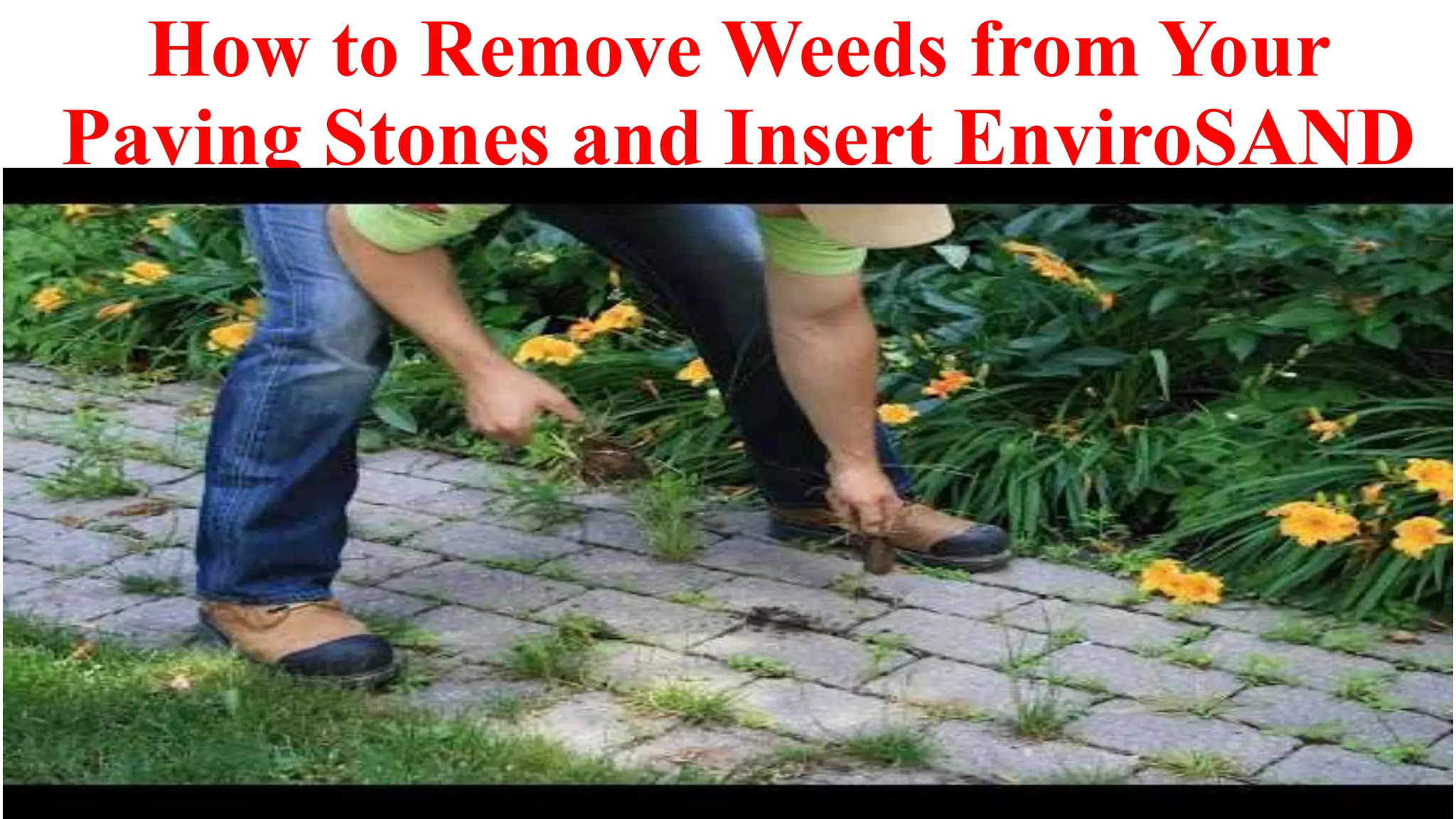 How to Remove Weeds from Paving Stones and Install EnviroSAND PPT
