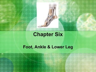 Chapter Six Foot, Ankle & Lower Leg 