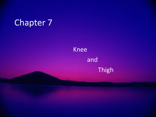 Chapter 7  Knee and Thigh 