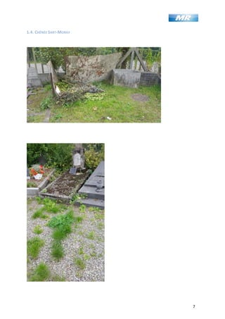 7
1.4. CHÊNÉE SART-MORAY
 