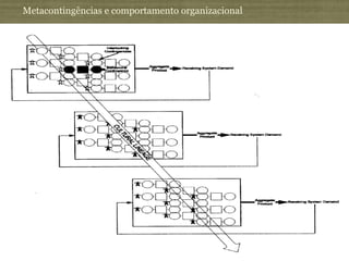 Metacontingências e comportamento organizacional
 