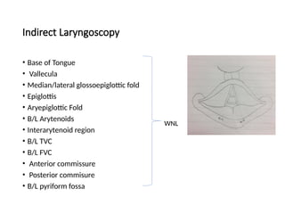 Indirect Laryngoscopy
• Base of Tongue
• Vallecula
• Median/lateral glossoepiglottic fold
• Epiglottis
• Aryepiglottic Fold
• B/L Arytenoids
• Interarytenoid region
• B/L TVC
• B/L FVC
• Anterior commissure
• Posterior commisure
• B/L pyriform fossa
WNL
 