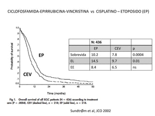 CICLOFOSFAMIDA-EPIRRUBICINA-VINCRISTINA vs CISPLATINO – ETOPOSIDO (EP)
N: 436
EP CEV p
Sobrevida 10.2 7.8 0.0004
EL 14.5 9.7 0.01
EE 8.4 6.5 ns
EP
CEV
SundtrØm et al, JCO 2002
 
