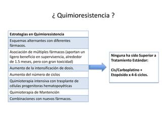 ¿ Quimioresistencia ?
Estrategias en Quimioresistencia
Esquemas alternantes con diferentes
fármacos.
Asociación de múltiples fármacos (aportan un
ligero beneficio en supervivencia, alrededor
de 1.5 meses, pero con gran toxicidad)
Aumento de la intensificación de dosis.
Aumento del número de ciclos
Quimioterapia intensiva con trasplante de
células progenitoras hematopoyéticas
Quimioterapia de Mantención
Combinaciones con nuevos fármacos.
Ninguna ha sido Superior a
Tratamiento Estándar:
Cis/Carboplatino +
Etopósido x 4-6 ciclos.
 