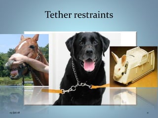 Tether restraints
25-Jan-18 11
 