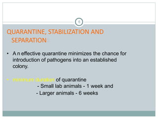 6
QUARANTINE, STABILIZATION AND
SEPARATION
• A n effective quarantine minimizes the chance for
introduction of pathogens into an established
colony.
• minimum duration of quarantine
- Small lab animals - 1 week and
- Larger animals - 6 weeks
 
