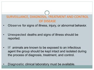 • Observe for signs of illness, injury, or abnormal behavior.
• Unexpected deaths and signs of illness should be
reported.
• I f animals are known to be exposed to an infectious
agent the group should be kept intact and isolated during
the process of diagnosis, treatment, and control.
• Diagnostic clinical laboratory must be available.
SURVEILLANCE, DIAGNOSIS, TREATMENT AND CONTROL
OF DISEASE
 