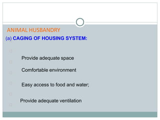 (a) CAGING OF HOUSING SYSTEM:

Provide adequate space

Comfortable environment


Easy access to food and water;

Provide adequate ventilation


ANIMAL HUSBANDRY
 
