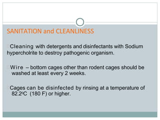 SANITATION and CLEANLINESS
Cleaning with detergents and disinfectants with Sodium
hypercholrite to destroy pathogenic organism.
Wire – bottom cages other than rodent cages should be
washed at least every 2 weeks.
Cages can be disinfected by rinsing at a temperature of
82.20C (180 F) or higher.
 
