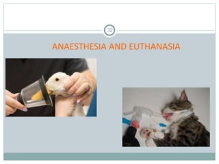 ANAESTHESIA AND EUTHANASIA
32
 