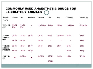 COMMONLY USED ANAESTHETIC DRUGS FOR
LABORATORY ANIMALS
Mouse Rat Hamster Rabbit Cat Dog Monkey Guinea pig
22-24
i/m
22-24
i/m
- 22-24 i/m 30 i/m 30 i/m 15-40 i/m 22-24 i/m
Drugs
(mg/kg)
KETAMI
-NE
PENTO-
BARBIT
ONE
35 i/v
50 i/p
25 i/v
50 i/p
35 i/v
-
30 i/v
40 i/p
25 i/v
-
20-30 i/v
-
35 i/v
-
30 i/v
40 i/p
THIOPE
NTONE
SODIUM
25 i/v 20 i/v 20 i/v 20 i/v 25 i/v 25 i/v 25 i/v 20 i/v
50 i/p 40 i/p 40 i/p - - 60 i/p 55 i/p
URETHA
NE - 0.75 i/p
- 0.75 % 1.25 i/v
1.50 i/p
1.0 i/v 1.0 i/v 1.5 i/p
33
 