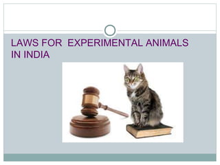 LAWS FOR EXPERIMENTAL ANIMALS
IN INDIA
 
