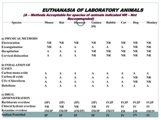 EUTHANASIA OF LABORATORY ANIMALS
(A – Methods Acceptable for species of animals indicated NR – Not
Recommended)
Species Mouse Rat Hamster Guinea
pig
Rabbit Cat Dog Monkey
a) PHYSICALMETHODS
Electrocution
Exsanguination
Decapitation
Cervical dislocation
NR
NR
A
A
NR
A
A
A
NR
A
A
A
NR
A
NR
NR
NR
A
NR
NR
NR
A
NR
NR
NR
NR
NR
NR
NR
NR
NR
NR
b) INHALATION OF
GASES
Carbon mono oxide
Carbon di oxide
CO2+Chloroform
Halothane
A A A A A A A A
A A A A A A NR NR
A A A A A A NR NR
A A A A A A A A
c) DRUG
ADMINISTRATION
Barbiturate overdose
Chloral hydrate overdose
Ketamine overdose
Sodium Pentothol
(IP)
NR
IM/IP
IP
(IP)
NR
IM/IP
IP
(IP)
NR
(IM/IP)
IP
(IP)
NR
IM/IP
IP
IV,IP
IV
IM/IV
IV IV
IV,IP IV,IP IV,IP
IV IV IV
IM IM IM/IV
IV
3
I
5
V
 