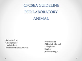 CPCSEA GUIDELINE
FOR LABORATORY
ANIMAL
•
Submitted to
Dr.Nagraj sir
Hod of dept
Pharmaceutical Analysis
Presented by
Abhishek Mondal
1st Mpharm
Dept of
pharmacology
 