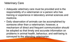 Veterinary Care
• Adequate veterinary care must be provided and is the
responsibility of a veterinarian or a person who has
training or experience in laboratory animal sciences and
medicine.
• Daily observation of animals can be accomplished by
someone other than a veterinarian; however, a
mechanism of direct and frequent communication should
be adopted so that timely and accurate information on
problems in animal health, behaviour, and well-being is
conveyed to the attending veterinarian.
 