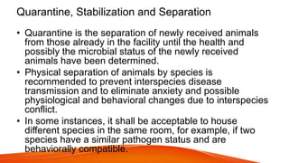 Quarantine, Stabilization and Separation
• Quarantine is the separation of newly received animals
from those already in the facility until the health and
possibly the microbial status of the newly received
animals have been determined.
• Physical separation of animals by species is
recommended to prevent interspecies disease
transmission and to eliminate anxiety and possible
physiological and behavioral changes due to interspecies
conflict.
• In some instances, it shall be acceptable to house
different species in the same room, for example, if two
species have a similar pathogen status and are
behaviorally compatible.
 