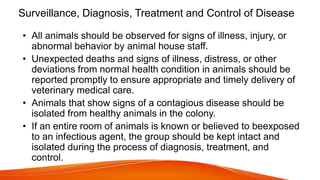 Surveillance, Diagnosis, Treatment and Control of Disease
• All animals should be observed for signs of illness, injury, or
abnormal behavior by animal house staff.
• Unexpected deaths and signs of illness, distress, or other
deviations from normal health condition in animals should be
reported promptly to ensure appropriate and timely delivery of
veterinary medical care.
• Animals that show signs of a contagious disease should be
isolated from healthy animals in the colony.
• If an entire room of animals is known or believed to beexposed
to an infectious agent, the group should be kept intact and
isolated during the process of diagnosis, treatment, and
control.
 