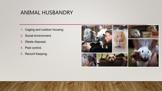 ANIMAL HUSBANDRY
1. Caging and outdoor housing.
2. Social environment.
3. Waste disposal.
4. Pest control.
5. Record Keeping.
 