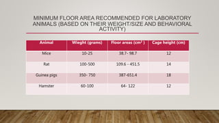MINIMUM FLOOR AREA RECOMMENDED FOR LABORATORY
ANIMALS (BASED ON THEIR WEIGHT/SIZE AND BEHAVIORAL
ACTIVITY)
Animal Wieght (grams) Floor areas (cm2 ) Cage height (cm)
Mice 10-25 38.7- 98.7 12
Rat 100-500 109.6 - 451.5 14
Guinea pigs 350- 750 387-651.4 18
Hamster 60-100 64- 122 12
 