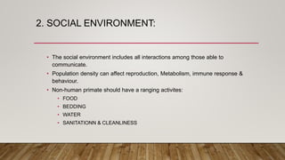 2. SOCIAL ENVIRONMENT:
• The social environment includes all interactions among those able to
communicate.
• Population density can affect reproduction, Metabolism, immune response &
behaviour.
• Non-human primate should have a ranging activites:
• FOOD
• BEDDING
• WATER
• SANITATIONN & CLEANLINESS
 