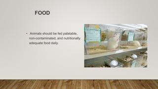 FOOD
• Animals should be fed palatable,
non-contaminated, and nutritionally
adequate food daily.
 