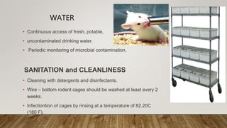 WATER
• Continuous access of fresh, potable,
• uncontaminated drinking water.
• Periodic monitoring of microbial contamination.
SANITATION and CLEANLINESS
• Cleaning with detergents and disinfectants.
• Wire – bottom rodent cages should be washed at least every 2
weeks.
• Infectiontion of cages by rinsing at a temperature of 82.20C
(180 F).
 