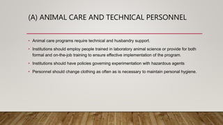 (A) ANIMAL CARE AND TECHNICAL PERSONNEL
• Animal care programs require technical and husbandry support.
• Institutions should employ people trained in laboratory animal science or provide for both
formal and on-the-job training to ensure effective implementation of the program.
• Institutions should have policies governing experimentation with hazardous agents
• Personnel should change clothing as often as is necessary to maintain personal hygiene.
 
