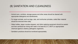 (B) SANITATION AND CLEANLINESS
• Animal room, corridors, storage spaces and other areas should be cleaned with
appropriate detergents and disinfectants.
• For larger animals, such as dogs, cats, and nonhuman primates, soiled litter material
should be removed twice daily.
• Water bottles, sipper nozzles stoppers, and other watering equipment should be wasted
and then sanitized be rinsing with water of at least 82.2˚C (180˚F) or appropriated
chemical agents to destroy pathogenic organisms.
• Sanitation practices should be monitored appropriately
 