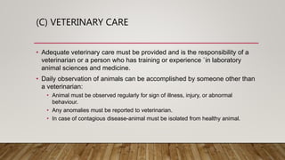 (C) VETERINARY CARE
• Adequate veterinary care must be provided and is the responsibility of a
veterinarian or a person who has training or experience `in laboratory
animal sciences and medicine.
• Daily observation of animals can be accomplished by someone other than
a veterinarian:
• Animal must be observed regularly for sign of illness, injury, or abnormal
behaviour.
• Any anomalies must be reported to veterinarian.
• In case of contagious disease-animal must be isolated from healthy animal.
 