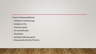 Common Euthanasia Methods
• Inhalation of anesthesia gas
• Inhalation of CO2
• Immersion agents
• Cervical Dislocation
• Decapitation
• Injectable barbiturate agents
• Exsanguination/Cardiac Perfusion
 