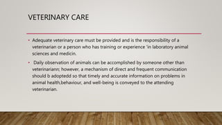 VETERINARY CARE
• Adequate veterinary care must be provided and is the responsibility of a
veterinarian or a person who has training or experience 'in laboratory animal
sciences and medicin.
• Daily observation of animals can be accomplished by someone other than
veterinariann; however, a mechanism of direct and frequent communication
should b adoptedd so that timely and accurate information on problems in
animal health,behaviour, and well-being is conveyed to the attending
veterinarian.
 