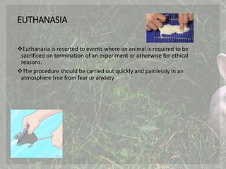 EUTHANASIA
Euthanasia is resorted to events where an animal is required to be
sacrificed on termination of an experiment or otherwise for ethical
reasons.
The procedure should be carried out quickly and painlessly in an
atmosphere free from fear or anxiety
 
