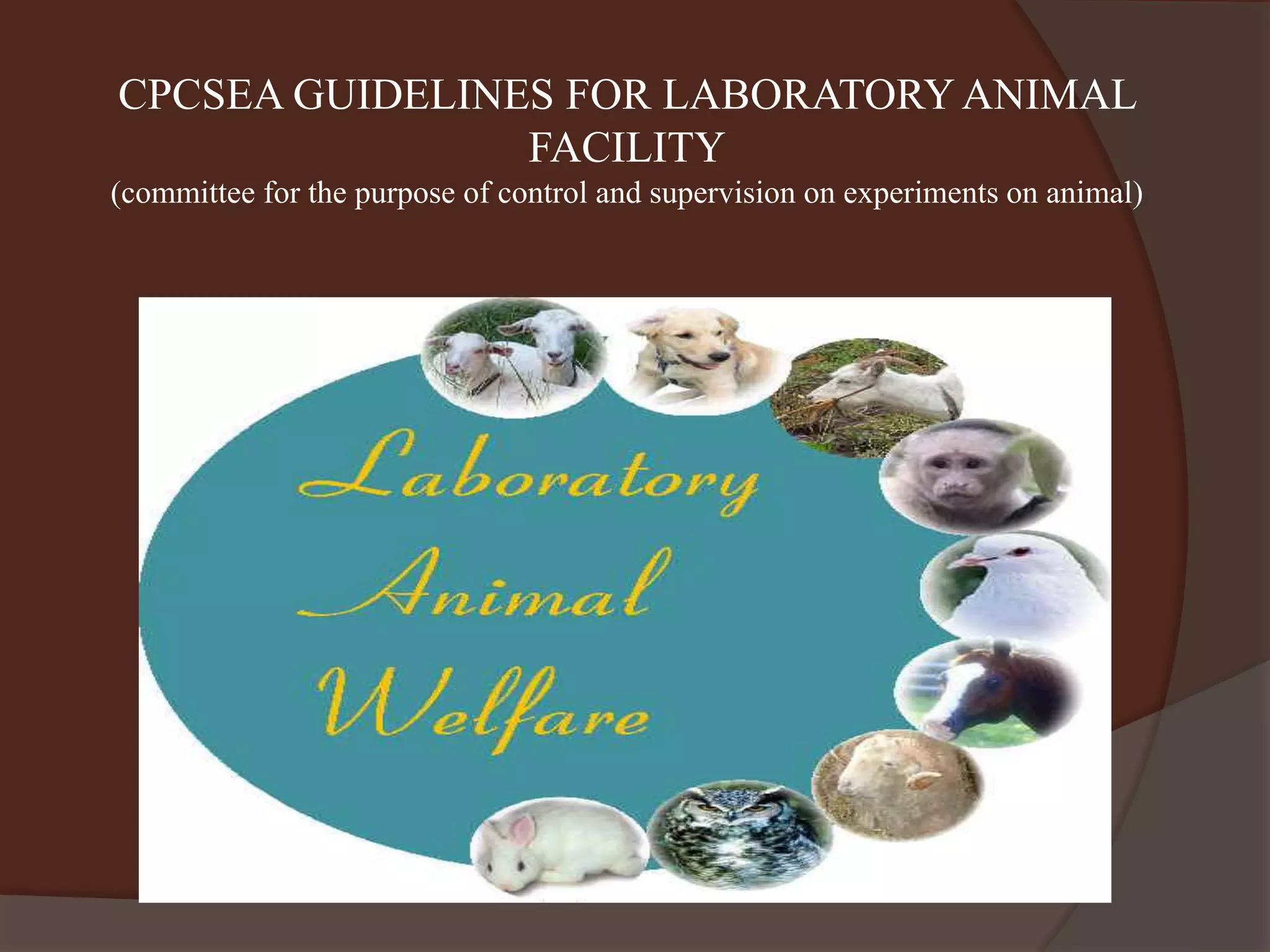 Cpcsea guidelines for laboratory animal facility PPT