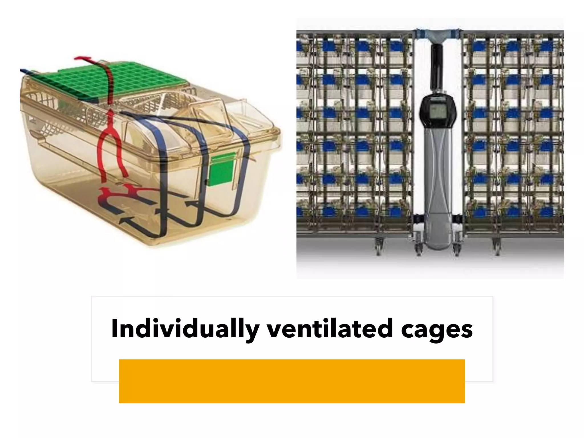 CPCSEA guidelines for laboratory animal facility | PDF