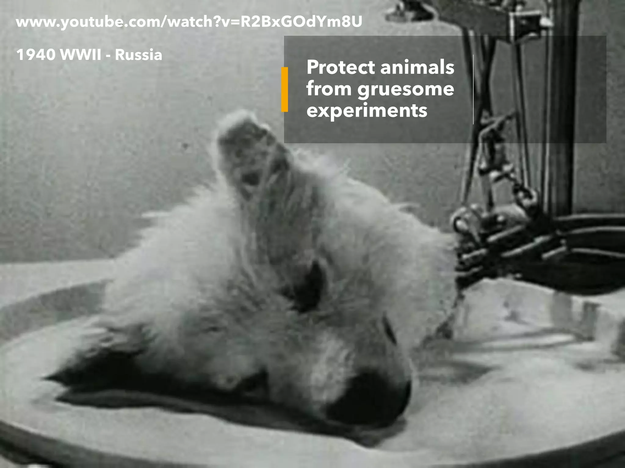 CPCSEA guidelines for laboratory animal facility | PDF