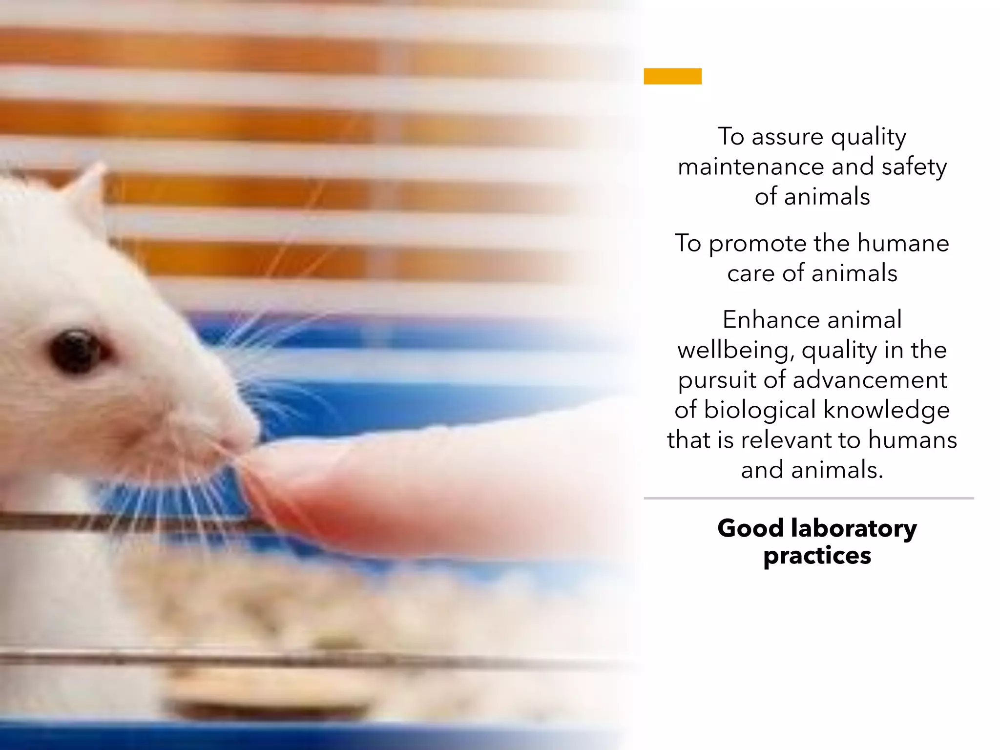 CPCSEA guidelines for laboratory animal facility | PDF