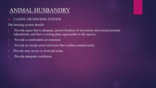 ANIMAL HUSBANDRY
(a) CAGING OR HOUSING SYSTEM
The housing system should:
1. Provide space that is adequate, permit freedom of movement and normal postural
adjustments, and have a resting place appropriate to the species.
2. Provide a comfortable environment.
3. Provide an escape proof enclosure that confines animal safety
4. Provide easy access to food and water
5. Provide adequate ventilation
 
