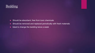 Bedding
 Should be absorbent, free from toxic chemicals
 Should be removed and replaced periodically with fresh materials
 Ideal to change the bedding twice a week
 