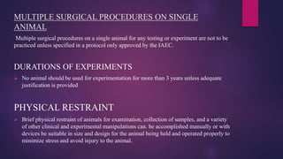 MULTIPLE SURGICAL PROCEDURES ON SINGLE
ANIMAL
Multiple surgical procedures on a single animal for any testing or experiment are not to be
practiced unless specified in a protocol only approved by the IAEC.
DURATIONS OF EXPERIMENTS
 No animal should be used for experimentation for more than 3 years unless adequate
justification is provided
PHYSICAL RESTRAINT
 Brief physical restraint of animals for examination, collection of samples, and a variety
of other clinical and experimental manipulations can. be accomplished manually or with
devices be suitable in size and design for the animal being held and operated properly to
minimize stress and avoid injury to the animal.
 