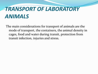 TRANSPORT OF LABORATORY
ANIMALS
The main considerations for transport of animals are the
mode of transport, the containers, the animal density in
cages, food and water during transit, protection from
transit infection, injuries and stress.
 