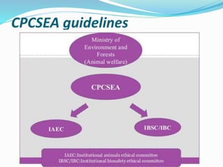 CPCSEA guidelines
 