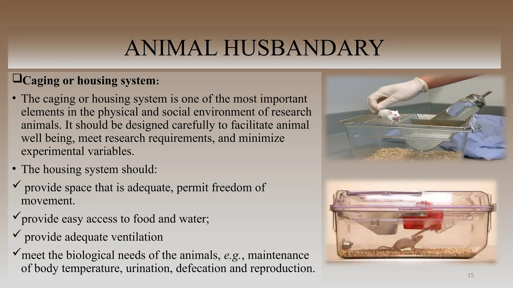 15
ANIMAL HUSBANDARY
Caging or housing system:
• The caging or housing system is one of the most important
elements in the physical and social environment of research
animals. It should be designed carefully to facilitate animal
well being, meet research requirements, and minimize
experimental variables.
• The housing system should:
 provide space that is adequate, permit freedom of
movement.
provide easy access to food and water;
 provide adequate ventilation
meet the biological needs of the animals, e.g., maintenance
of body temperature, urination, defecation and reproduction.
 