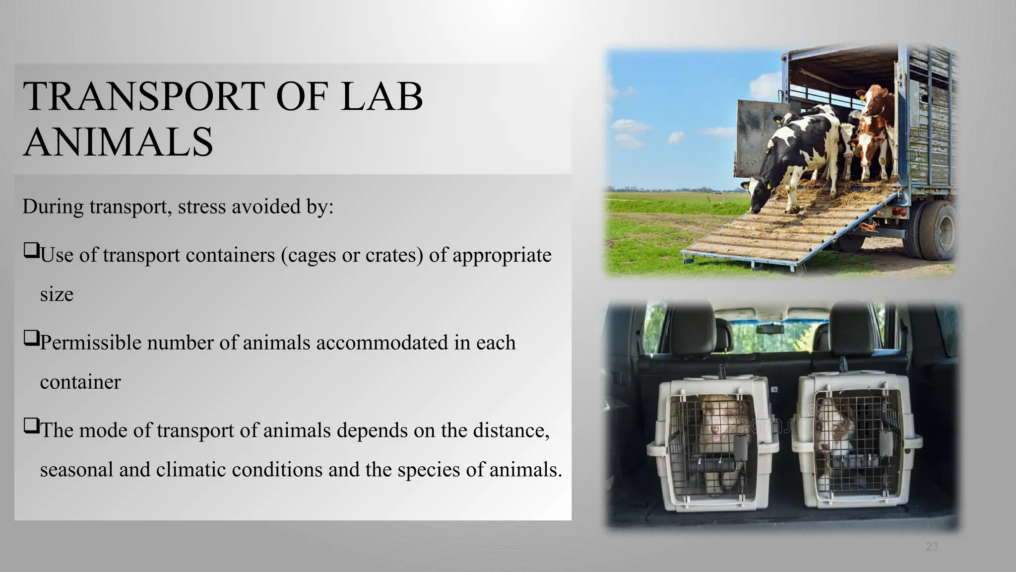 23
TRANSPORT OF LAB
ANIMALS
During transport, stress avoided by:
Use of transport containers (cages or crates) of appropriate
size
Permissible number of animals accommodated in each
container
The mode of transport of animals depends on the distance,
seasonal and climatic conditions and the species of animals.
 