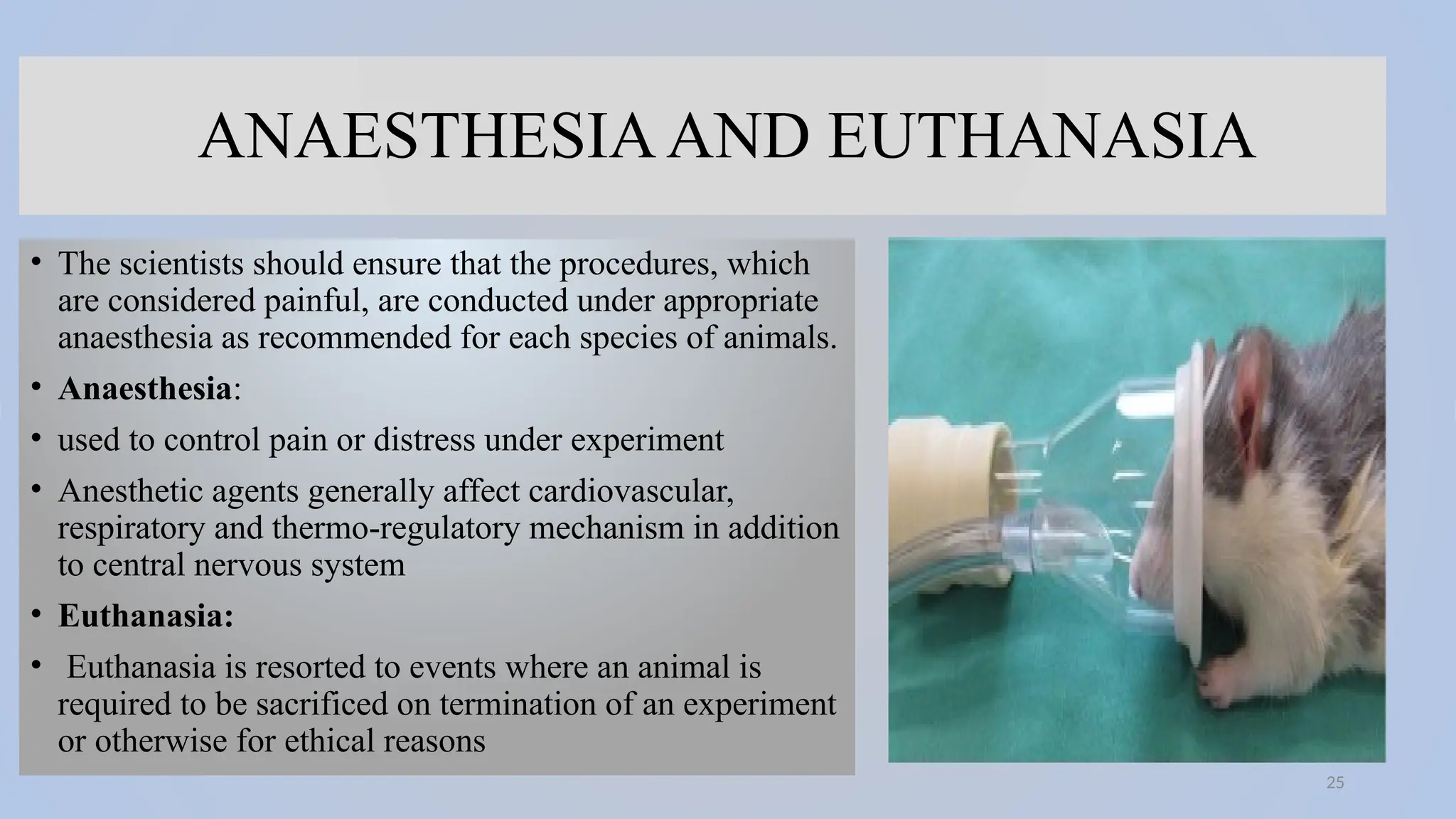 25
ANAESTHESIAAND EUTHANASIA
• The scientists should ensure that the procedures, which
are considered painful, are conducted under appropriate
anaesthesia as recommended for each species of animals.
• Anaesthesia:
• used to control pain or distress under experiment
• Anesthetic agents generally affect cardiovascular,
respiratory and thermo-regulatory mechanism in addition
to central nervous system
• Euthanasia:
• Euthanasia is resorted to events where an animal is
required to be sacrificed on termination of an experiment
or otherwise for ethical reasons
 