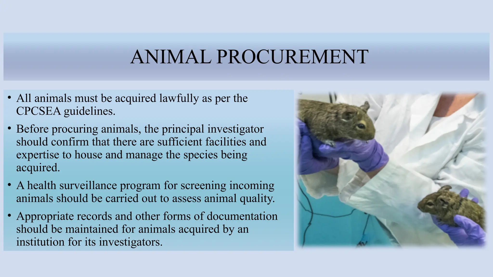 ANIMAL PROCUREMENT
• All animals must be acquired lawfully as per the
CPCSEA guidelines.
• Before procuring animals, the principal investigator
should confirm that there are sufficient facilities and
expertise to house and manage the species being
acquired.
• A health surveillance program for screening incoming
animals should be carried out to assess animal quality.
• Appropriate records and other forms of documentation
should be maintained for animals acquired by an
institution for its investigators.
 